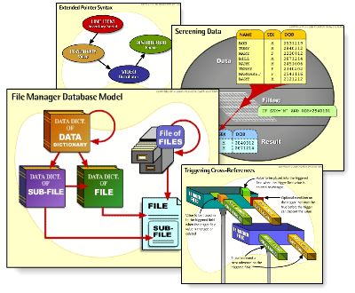 Picture of Flash Movies Used in Course